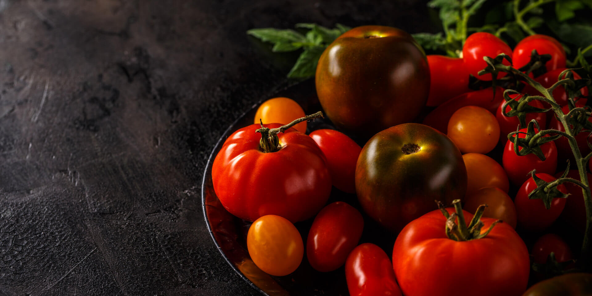 Tomates Tomates